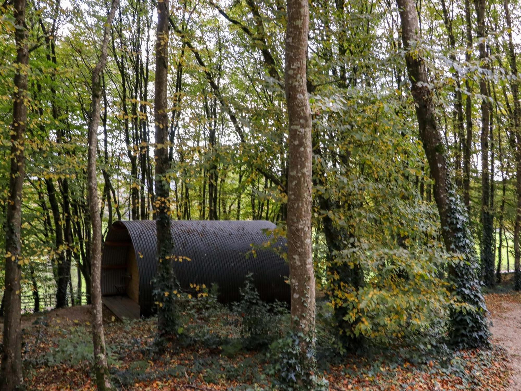 Ballybeg Pod 9 Arklow Exterior foto